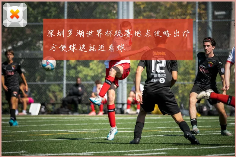 深圳罗湖世界杯观赛地点攻略出炉 方便球迷就近看球