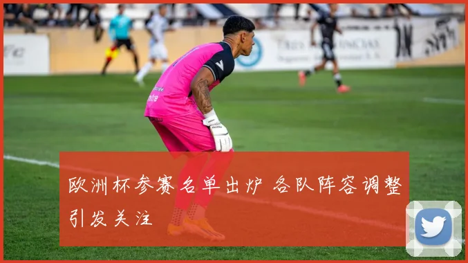 欧洲杯参赛名单出炉 各队阵容调整引发关注